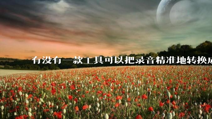 有没有一款工具可以把录音精准地转换成文字？